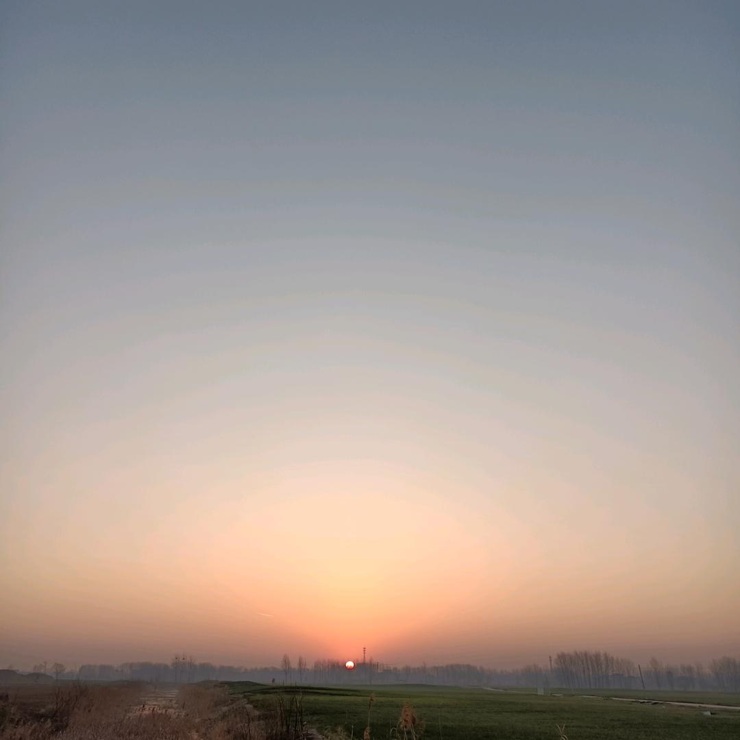 （魏来可期）