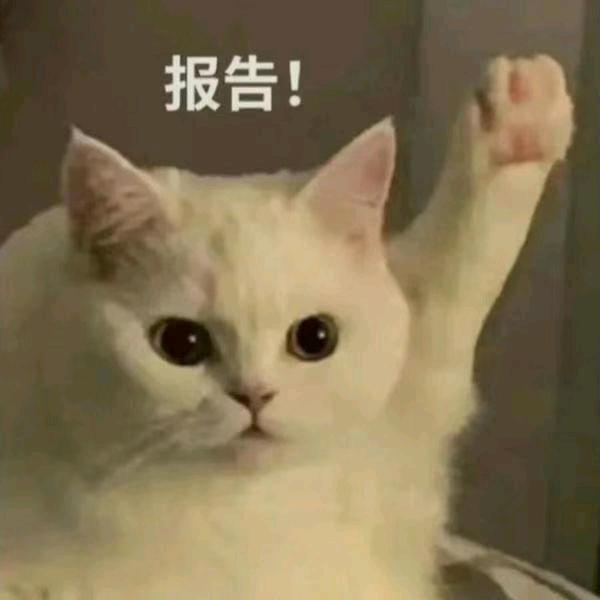 一颗老姜坨坨