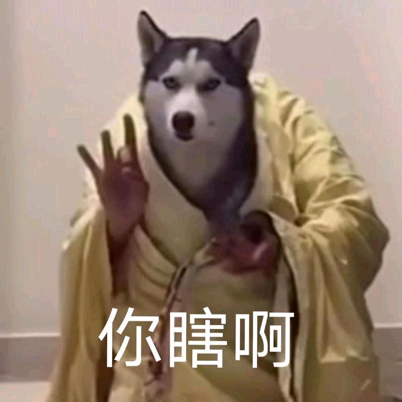 ꧁过客꧂