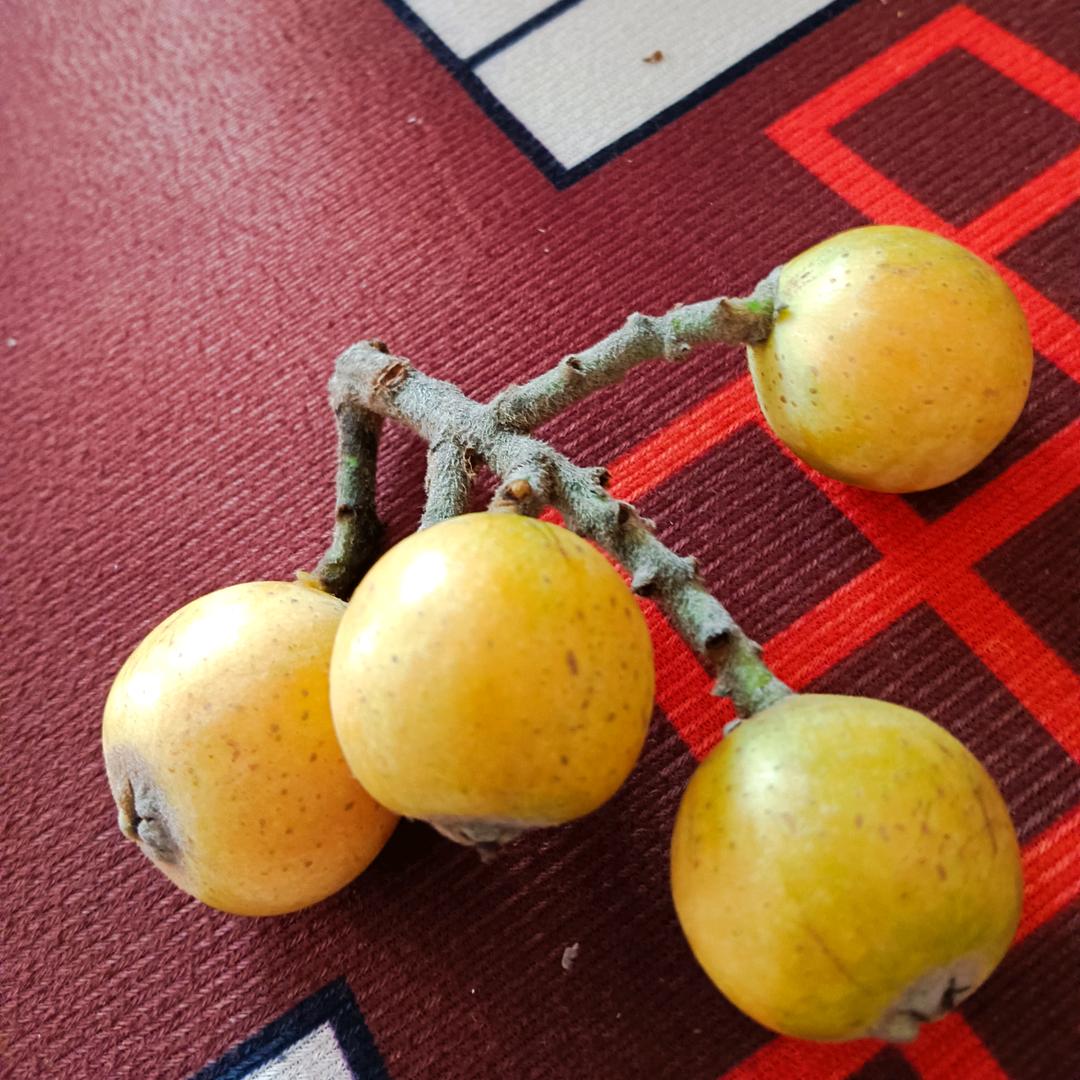 删除过去