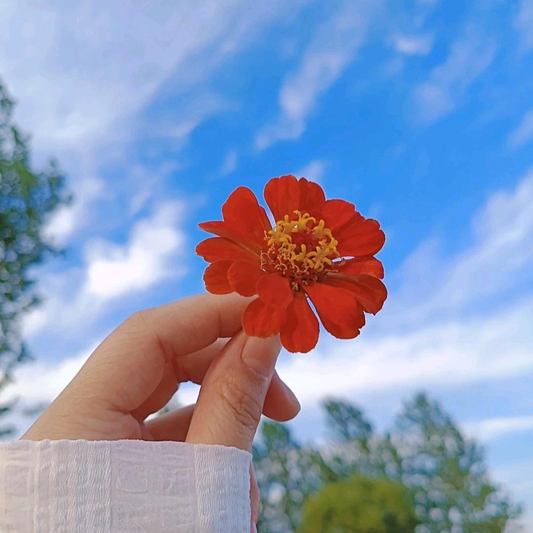 雷姐好物1