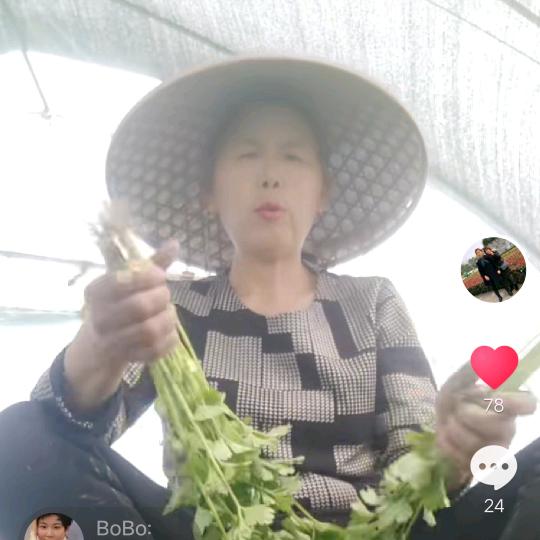 芹菜姐姐