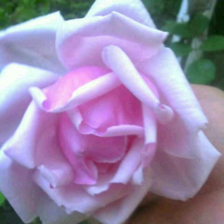 分分秒秒健健康康快快乐乐