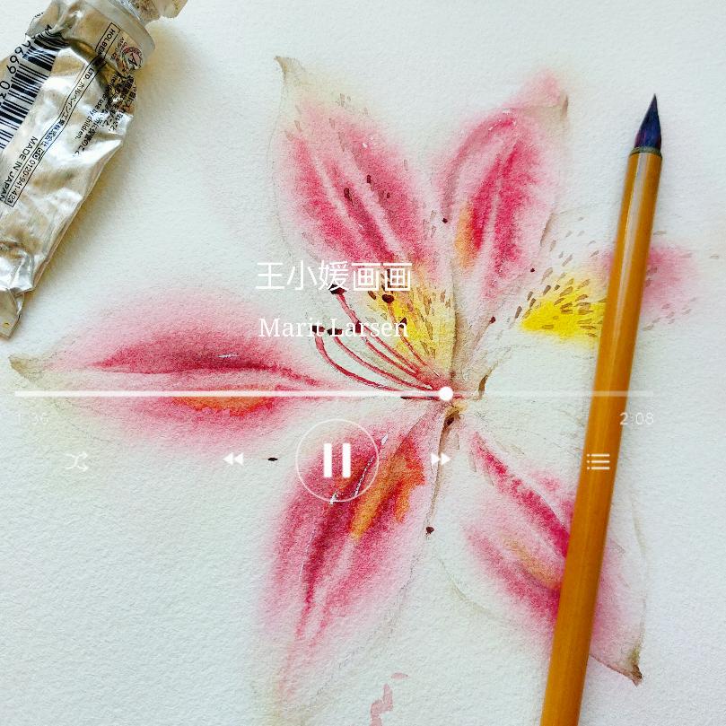 王小媛画画（网课）@抖音