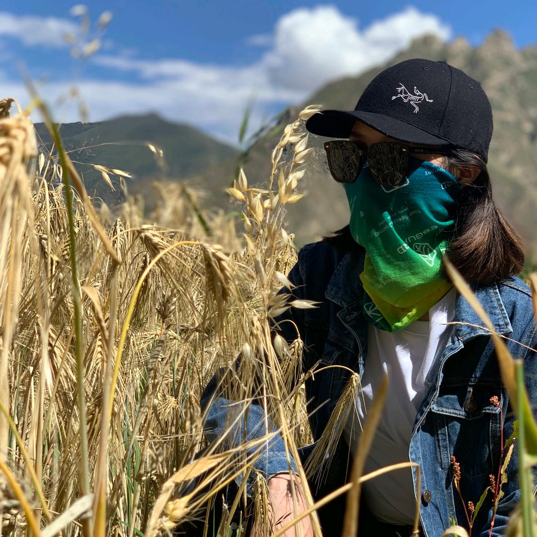 西藏双木昌财税