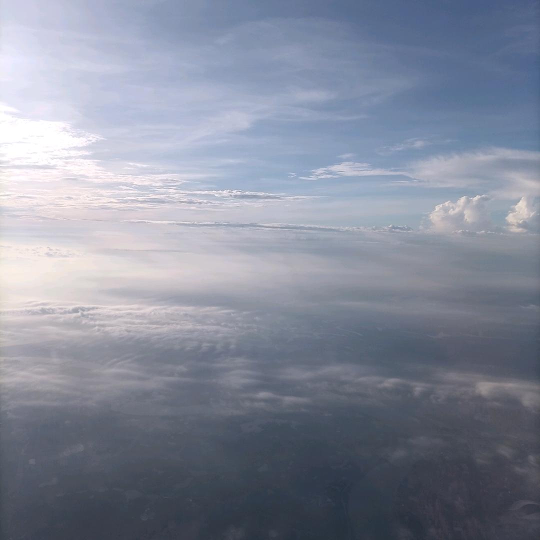 丹丰鲜肉批发零售