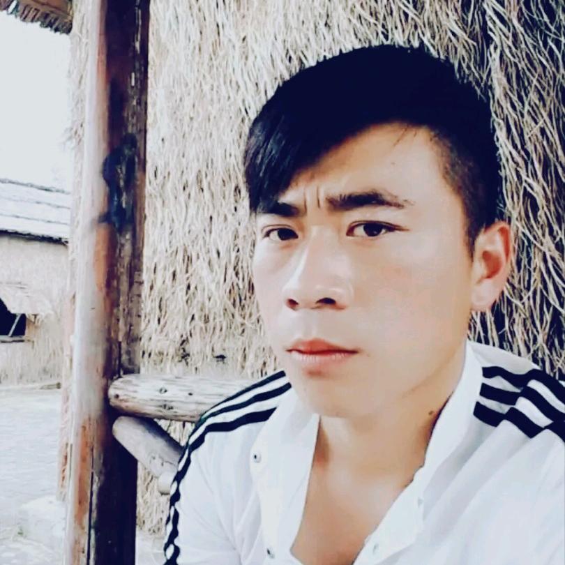 杨门虎将