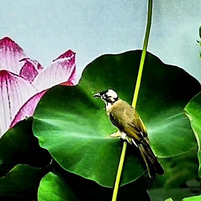 善待自己