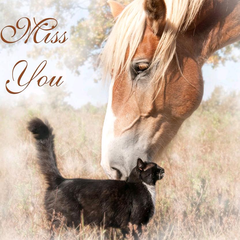 耒阳买房卖房找小刘