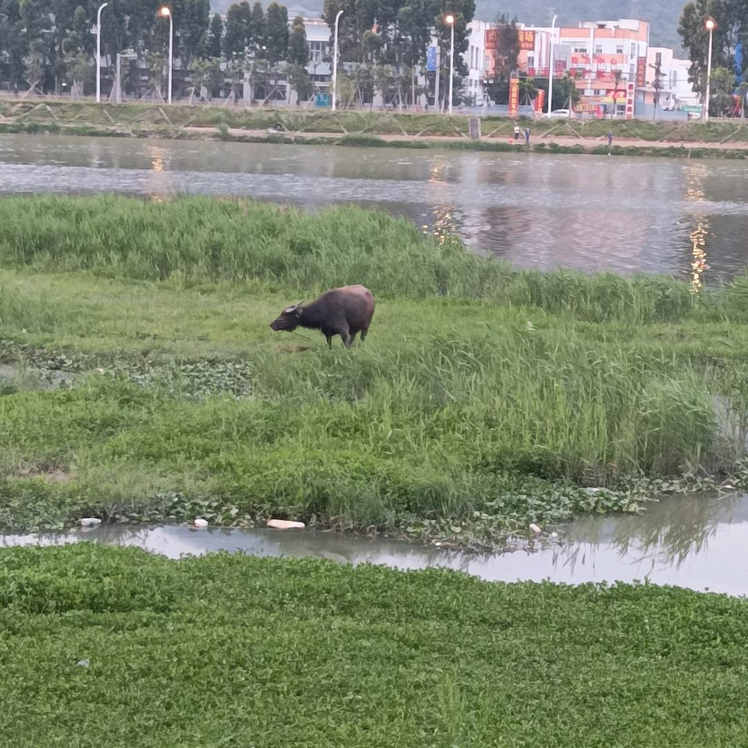 活出自己想要的生活