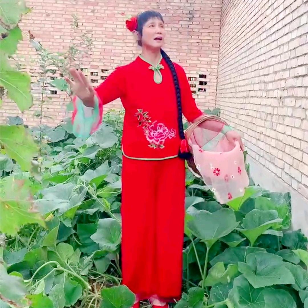 甘陕张姐早4点半播，