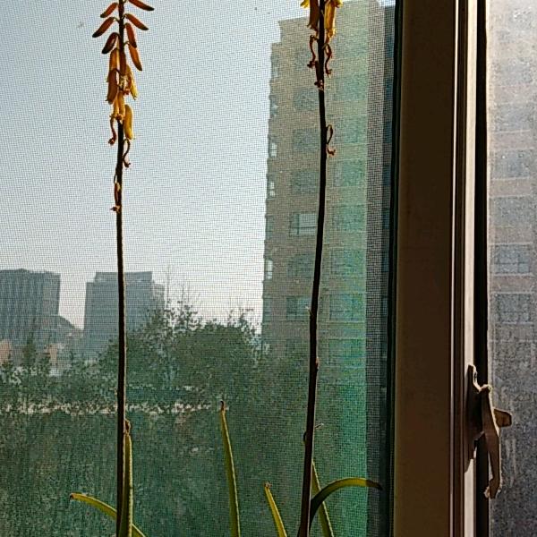 🐌慢慢慢慢的蜗牛🐌