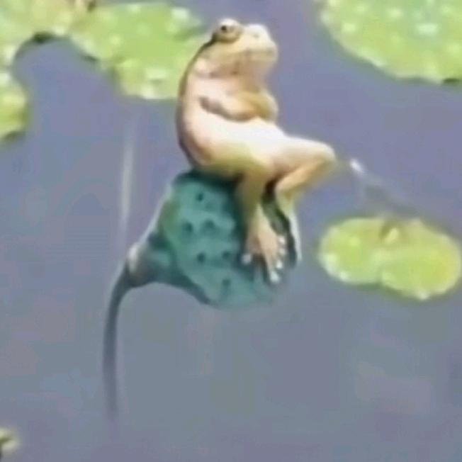 蚊蚊～～～～～～