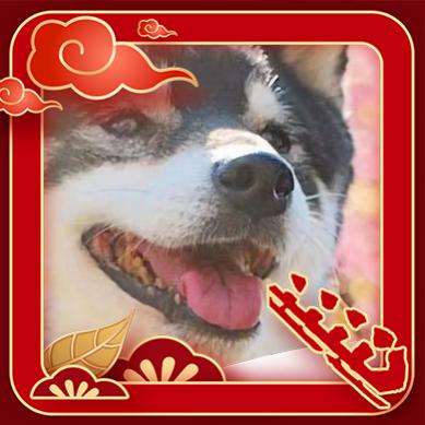 炸炸头像