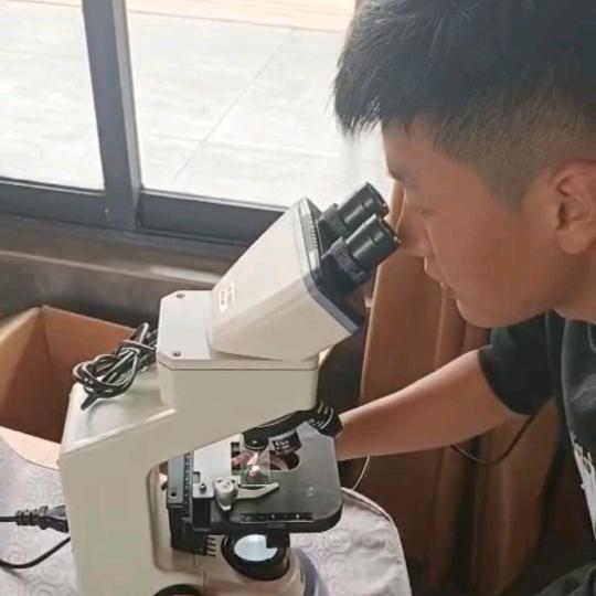 张 博