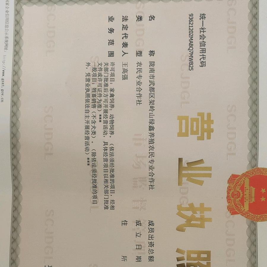 陇南绿鑫养殖合作社