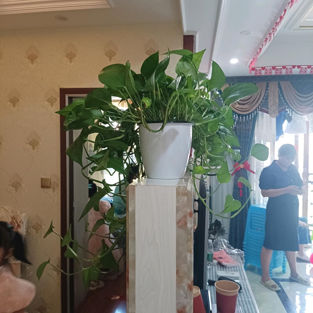 结缘奉节情