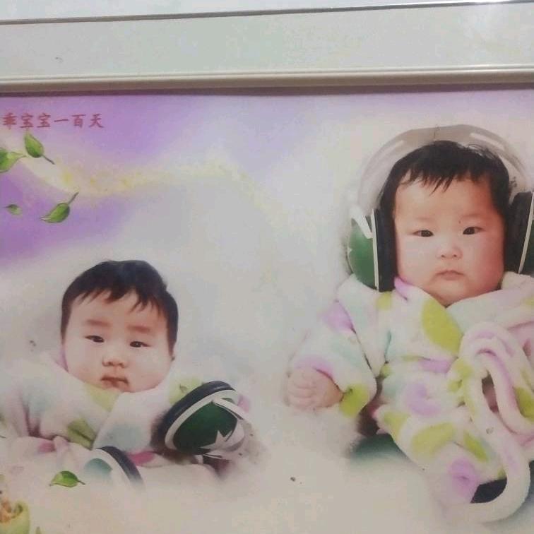 迎春花开