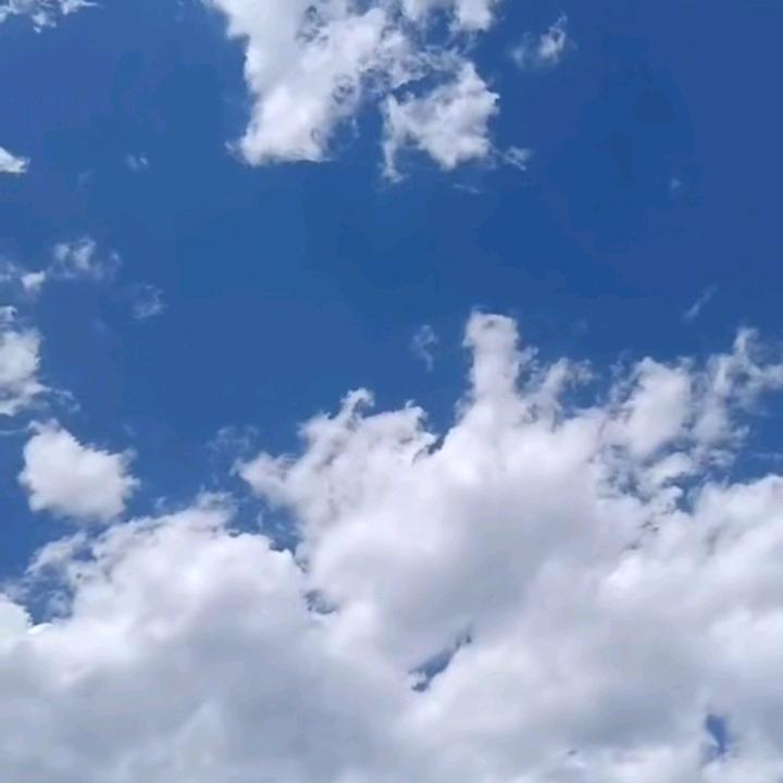 用户5428912680788