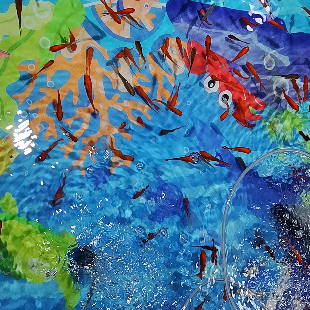 雲果果