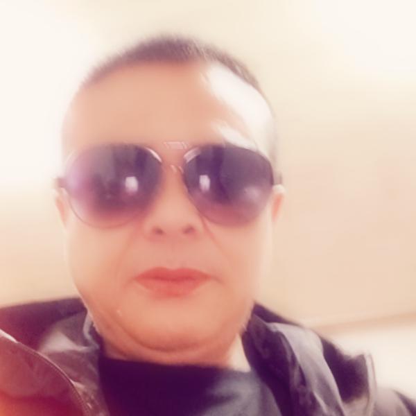 安庆市宿松小孤山70狗