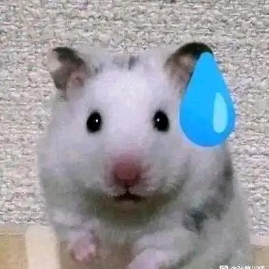 希望世界没有香菜