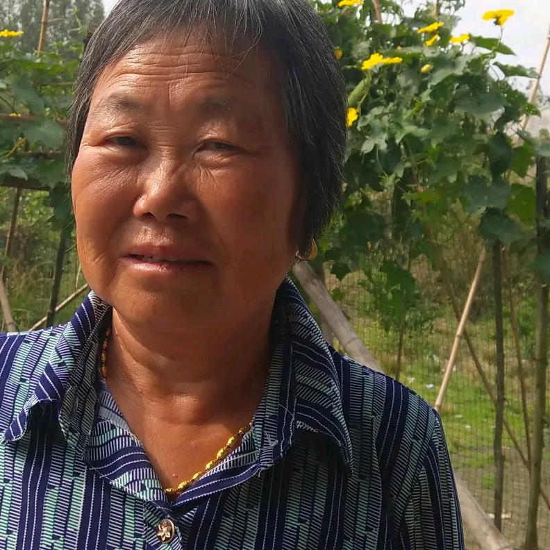 六个孙子的奶奶   霍邱 花园 李大庄