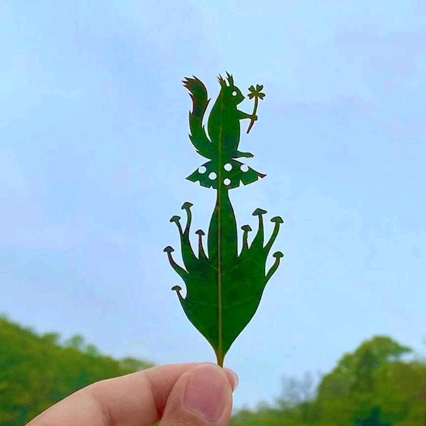 密林
