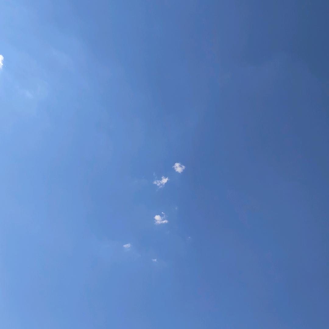 心想事成