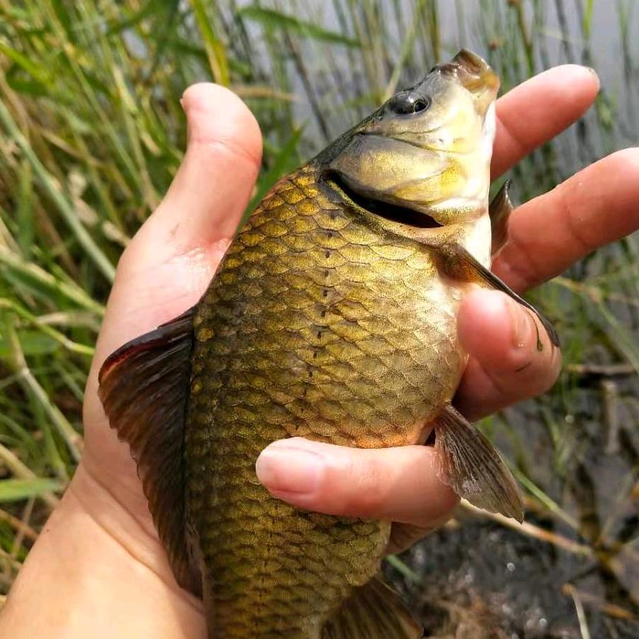 渔哥🎣渔具优选🎣