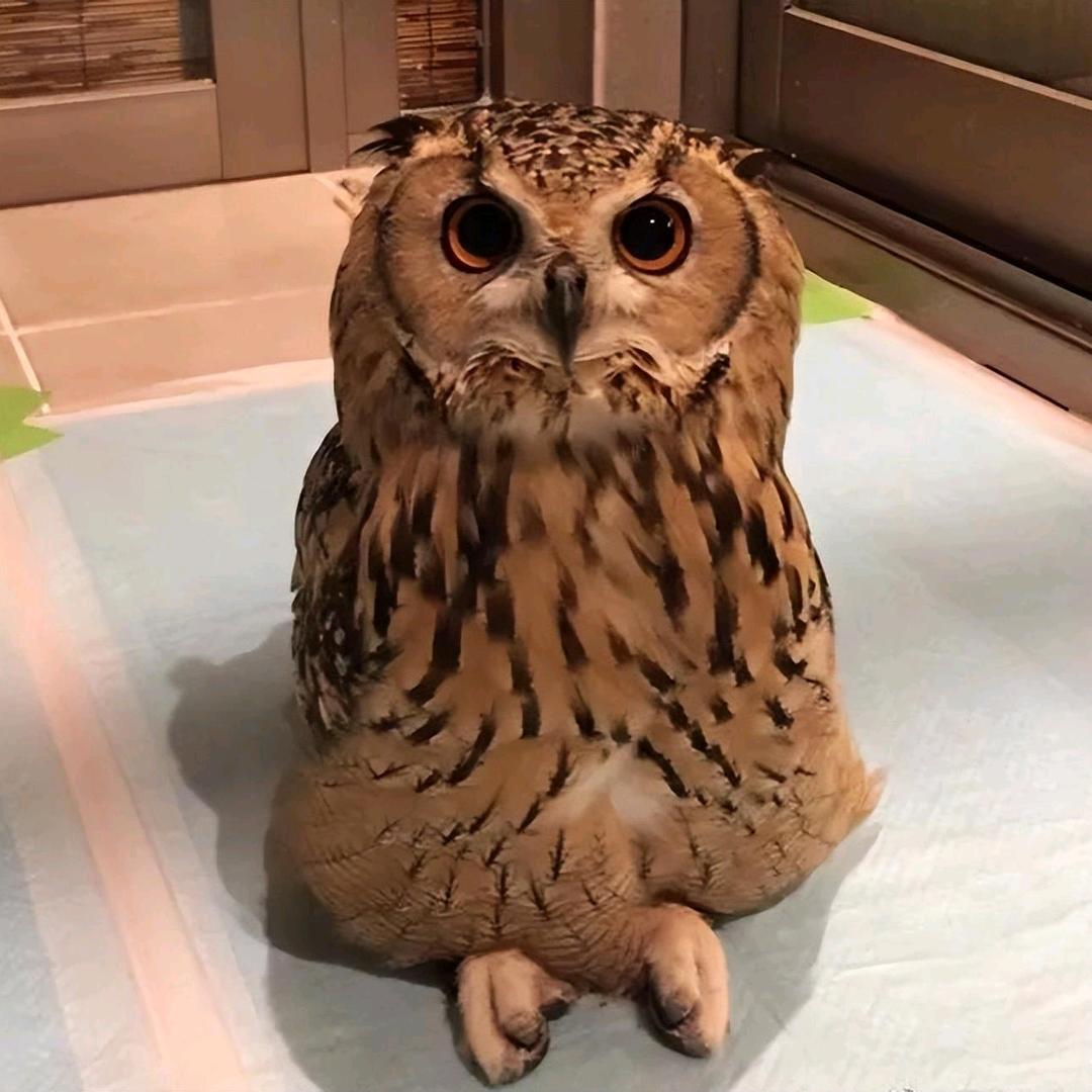 你的回合