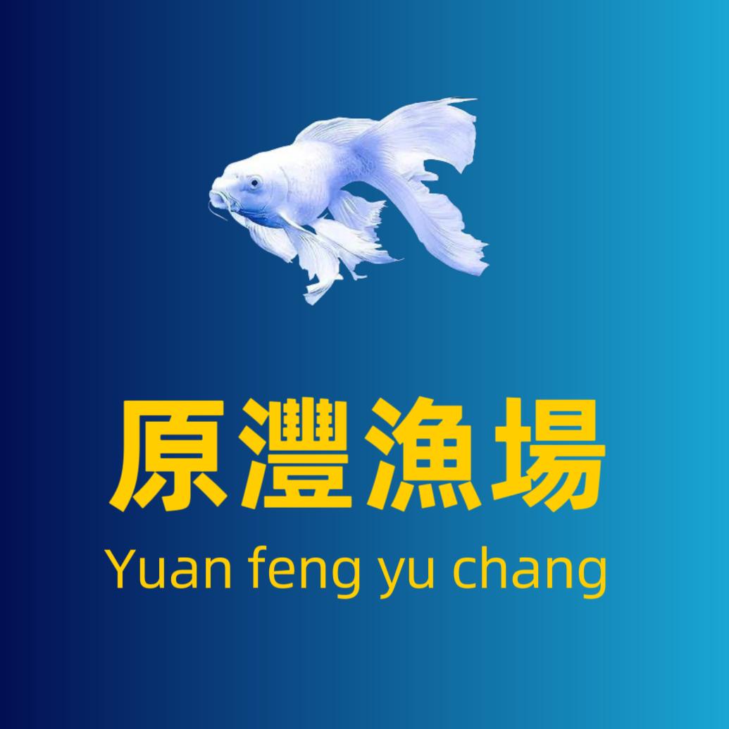 原沣观赏鱼