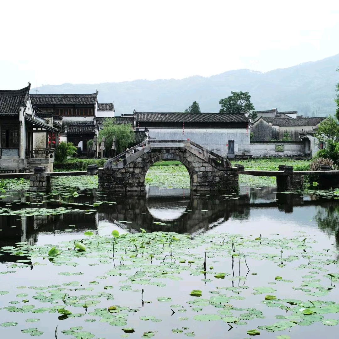蓝惰惰