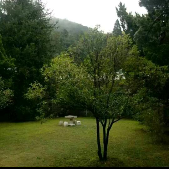 阳光