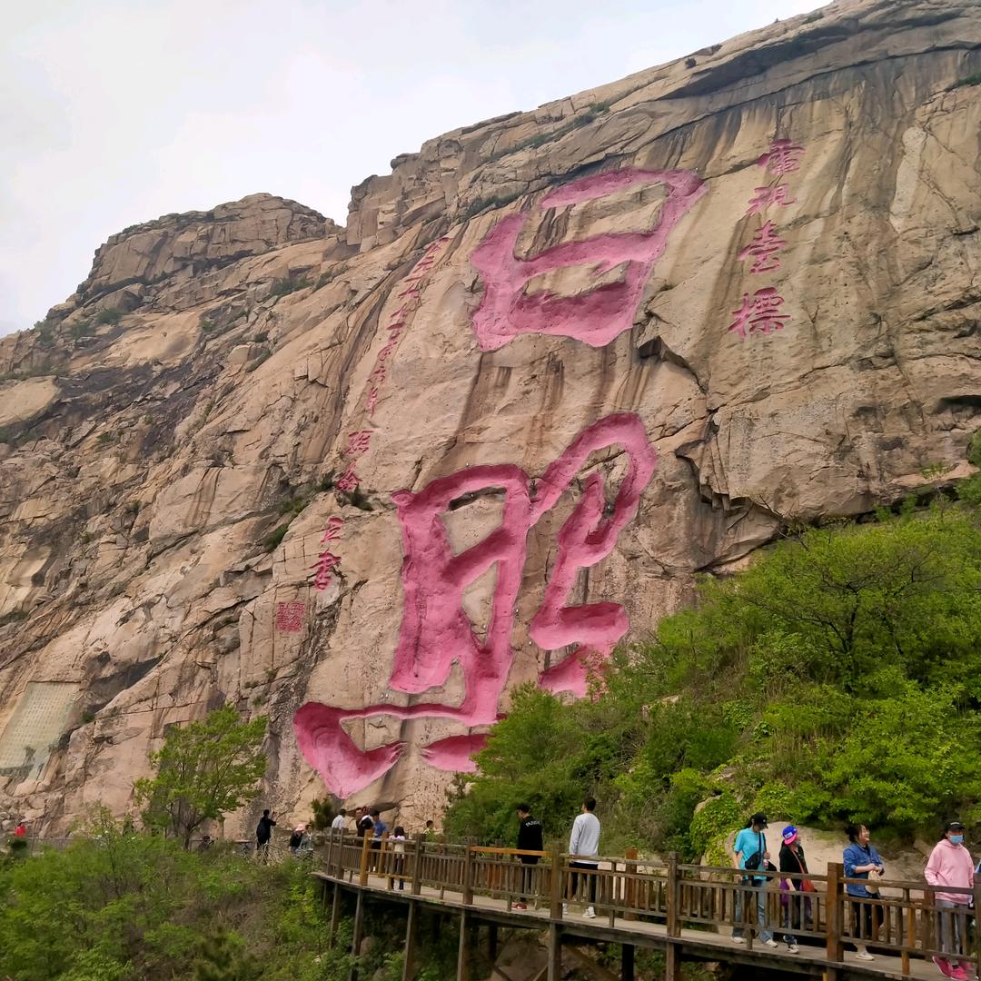 铁拳虎