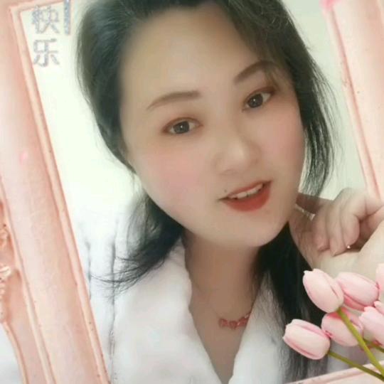 腊月十七的燕子