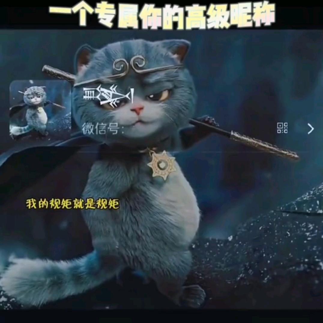 杨了个阳