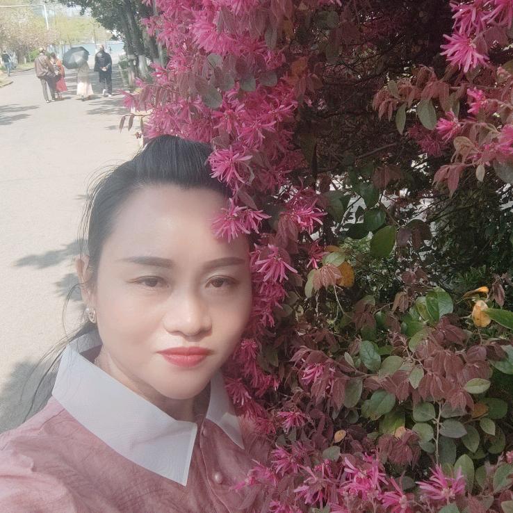 飞舞的精灵