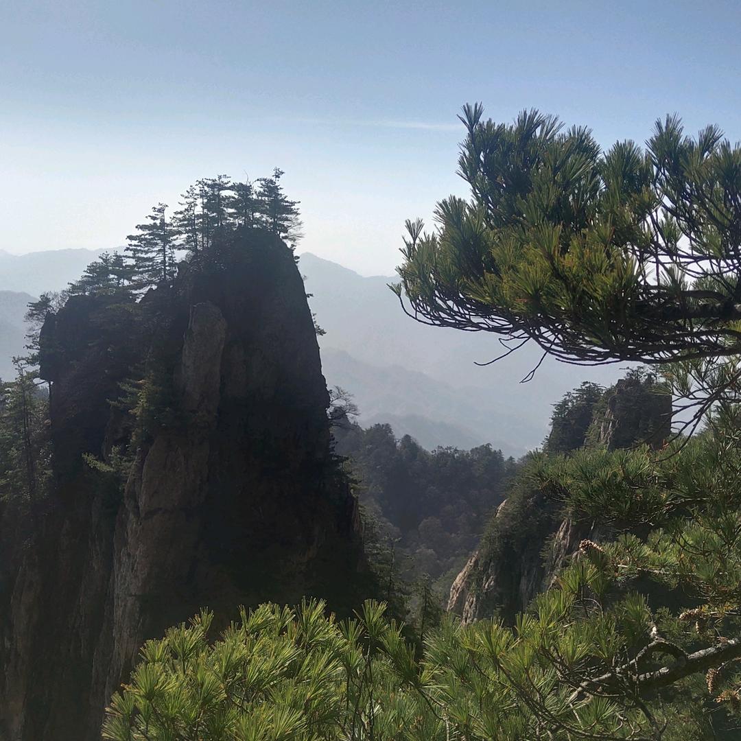 愿心如海