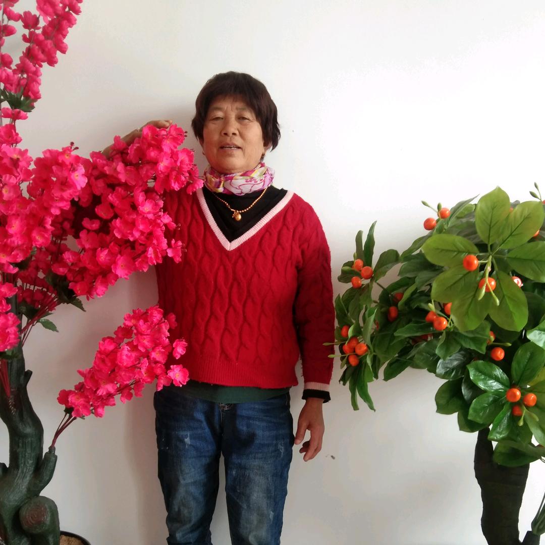 唐占兰