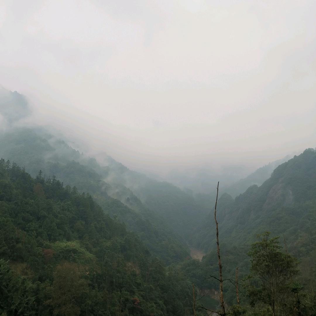 龙江いなかもの