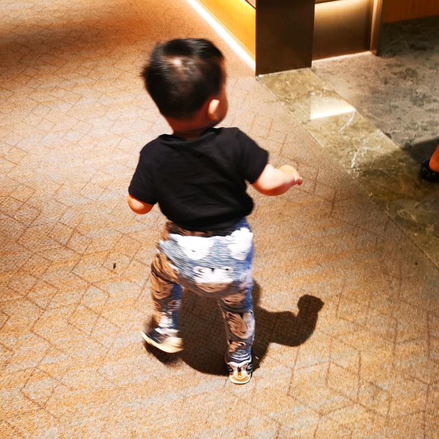 团团的土味生活