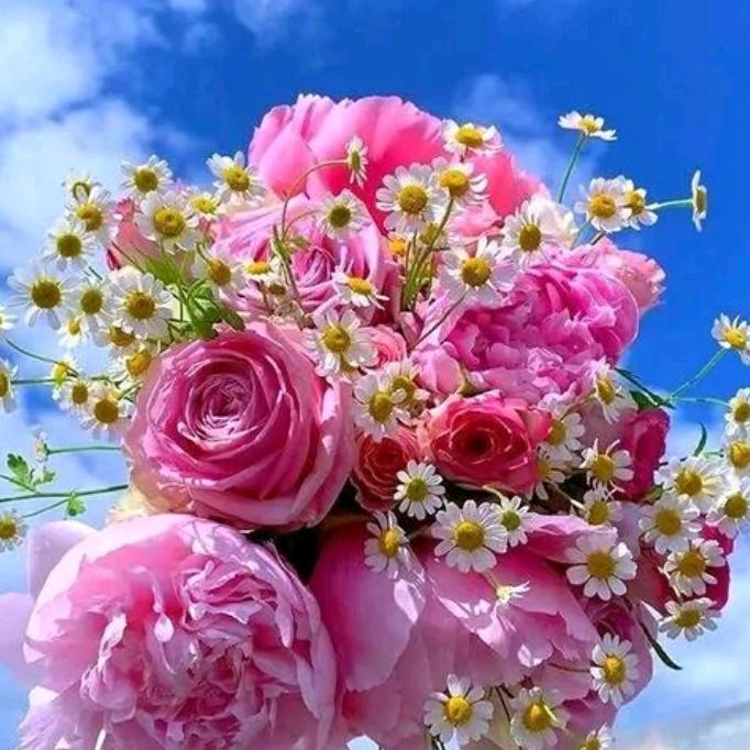 春暖花开🌺