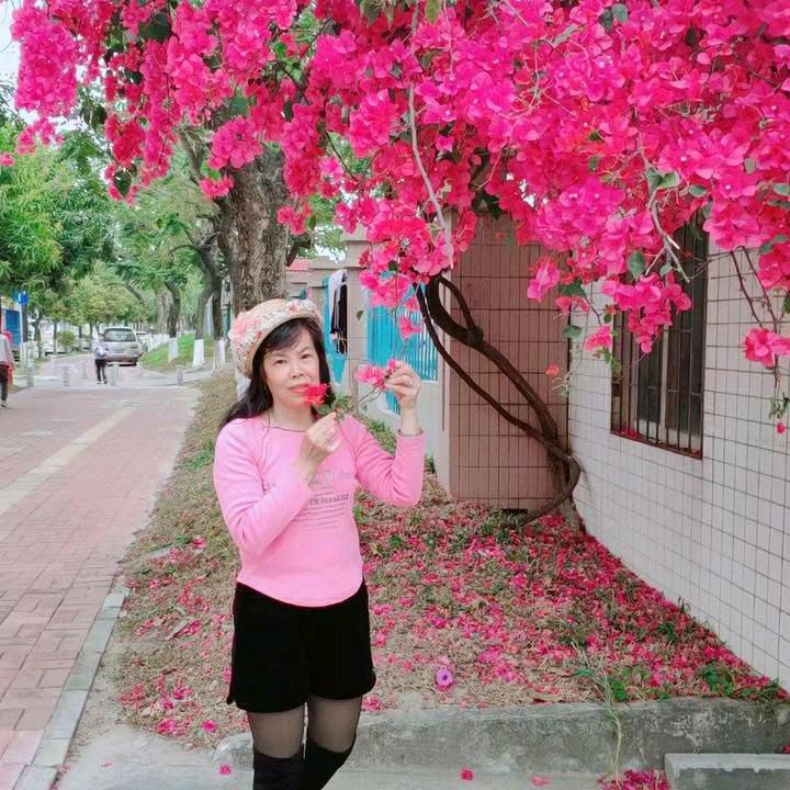 红火火🌹🌹🌹