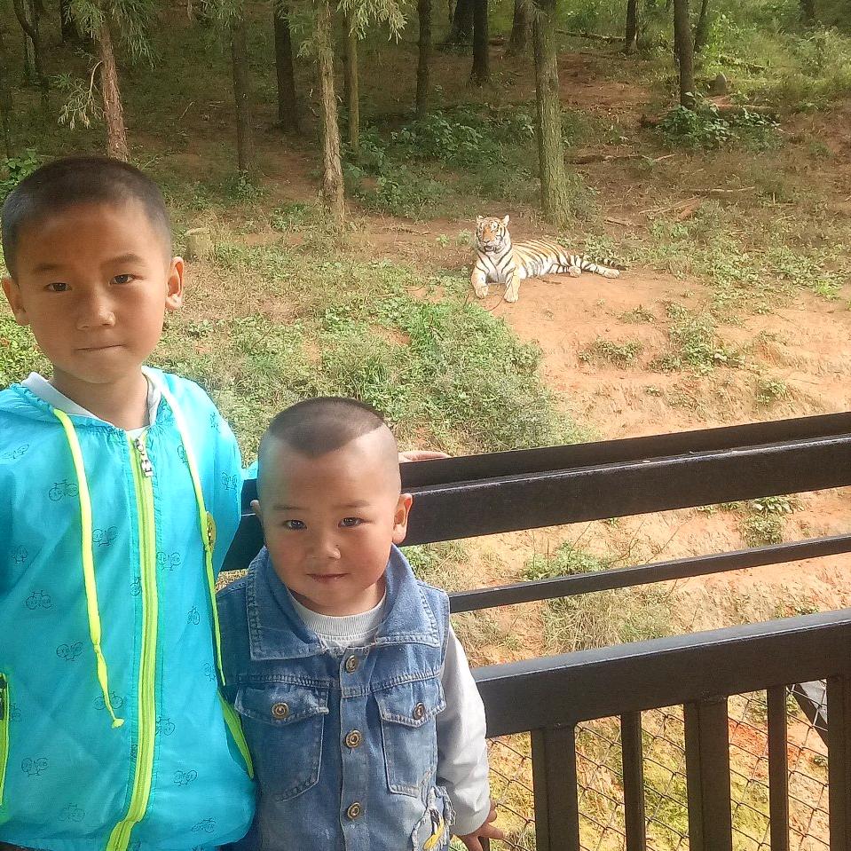🌻🍀🍀健康管理师💐💐🌼