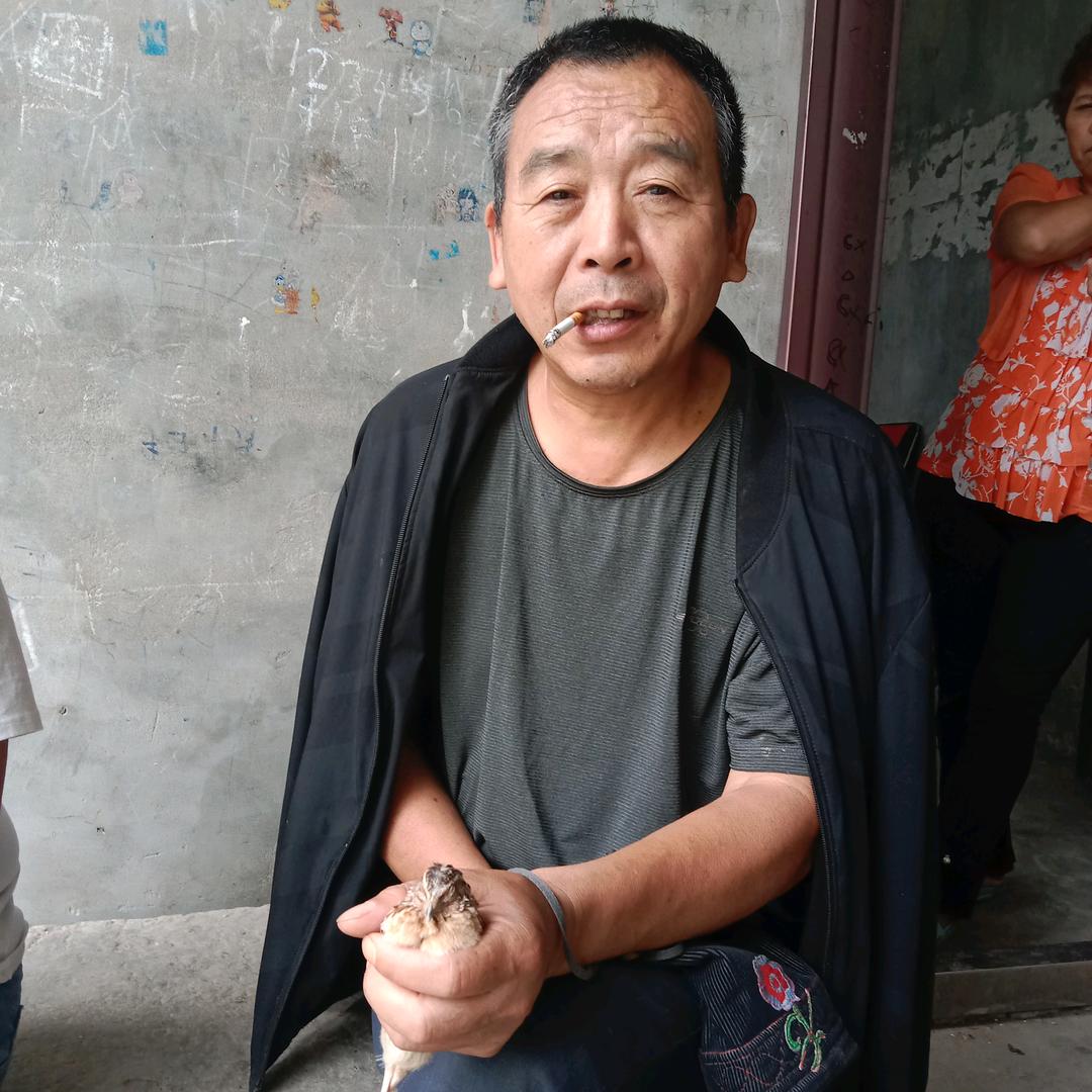 郸城宁平赵京王庄