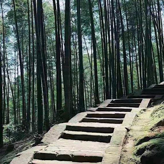 梦幻