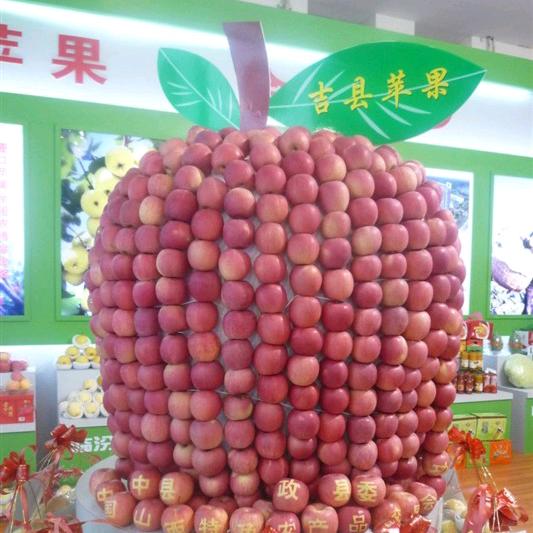 吉县果然鲜水果店的头像