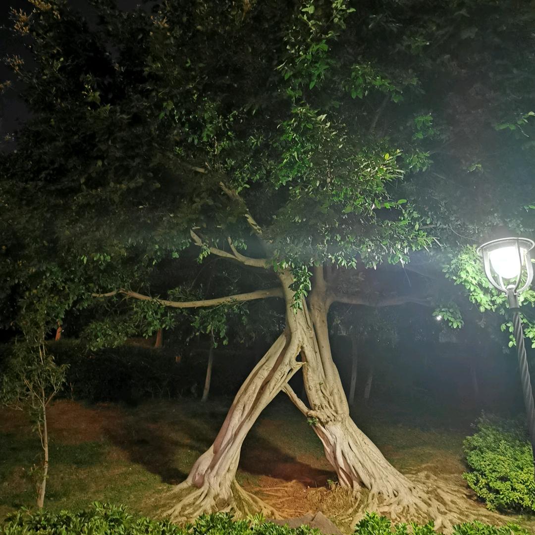 郭明访