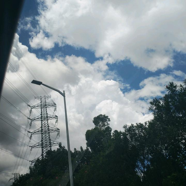 游泳